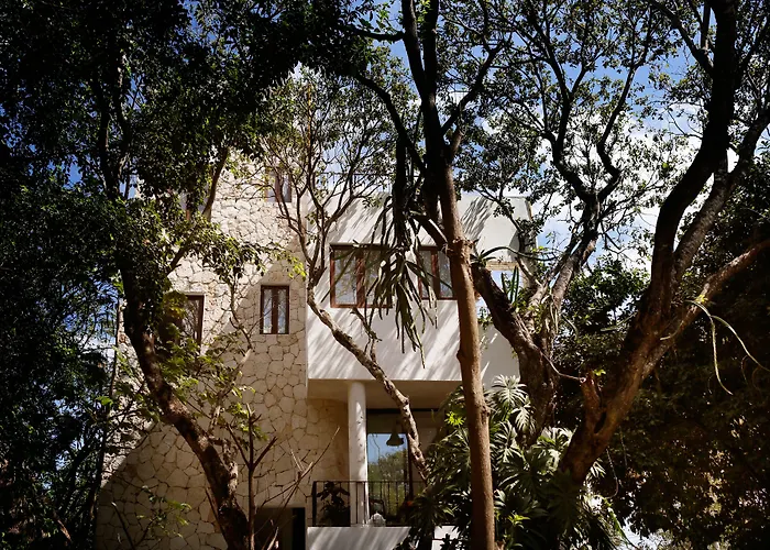 Hotel La Semilla A Member Of Design Hotels (Adults Only)